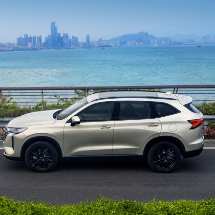 HAVAL H6 FL