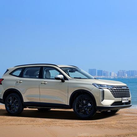 HAVAL H6 FL