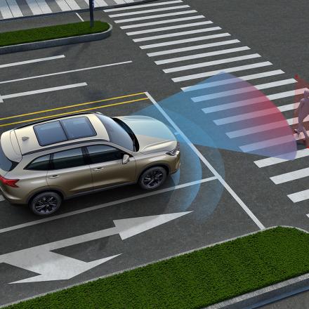 HAVAL H6 FL