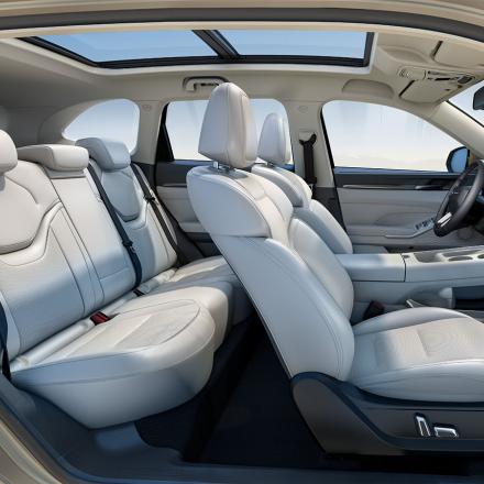 HAVAL H6 FL